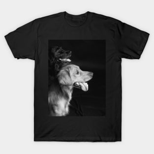 Retrievers T-Shirt